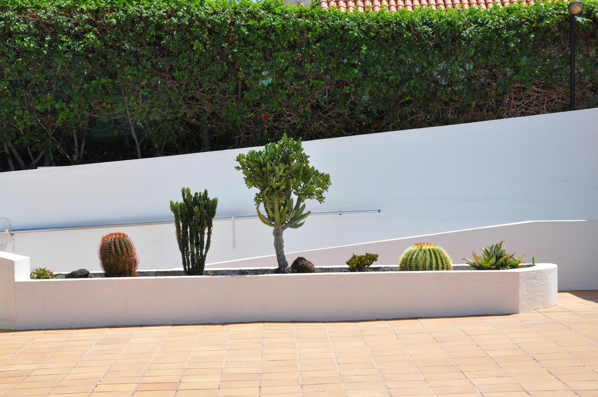 Serenity Garden Maspalomas  Exterior photo