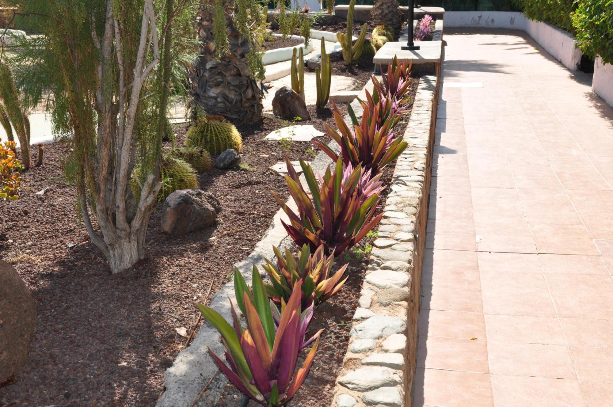 Serenity Garden Maspalomas  Exterior photo
