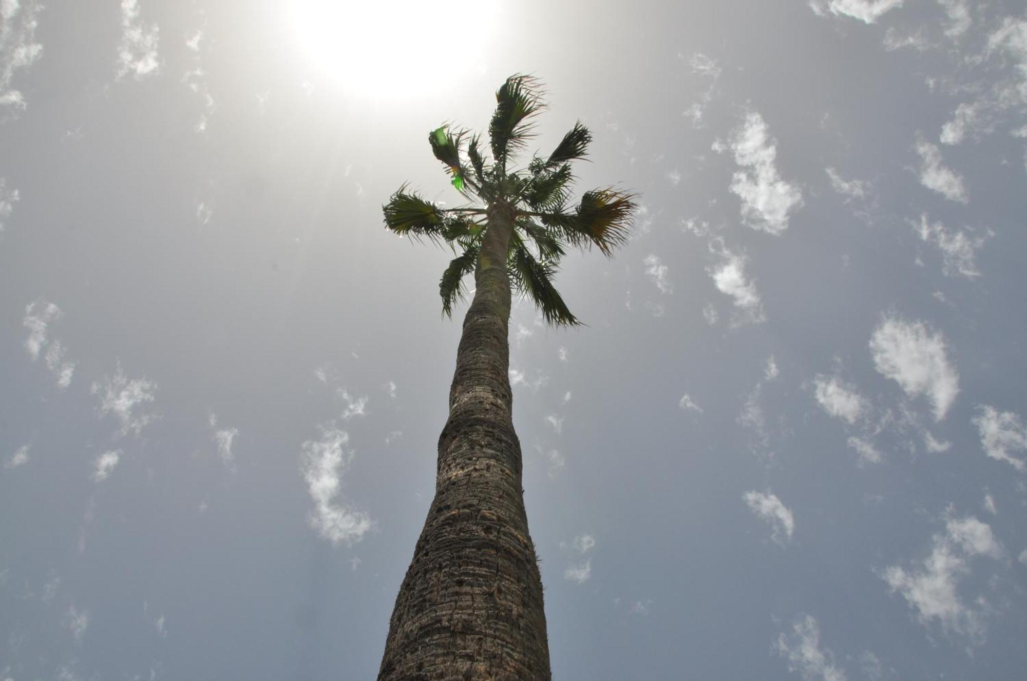 Serenity Garden Maspalomas  Exterior photo