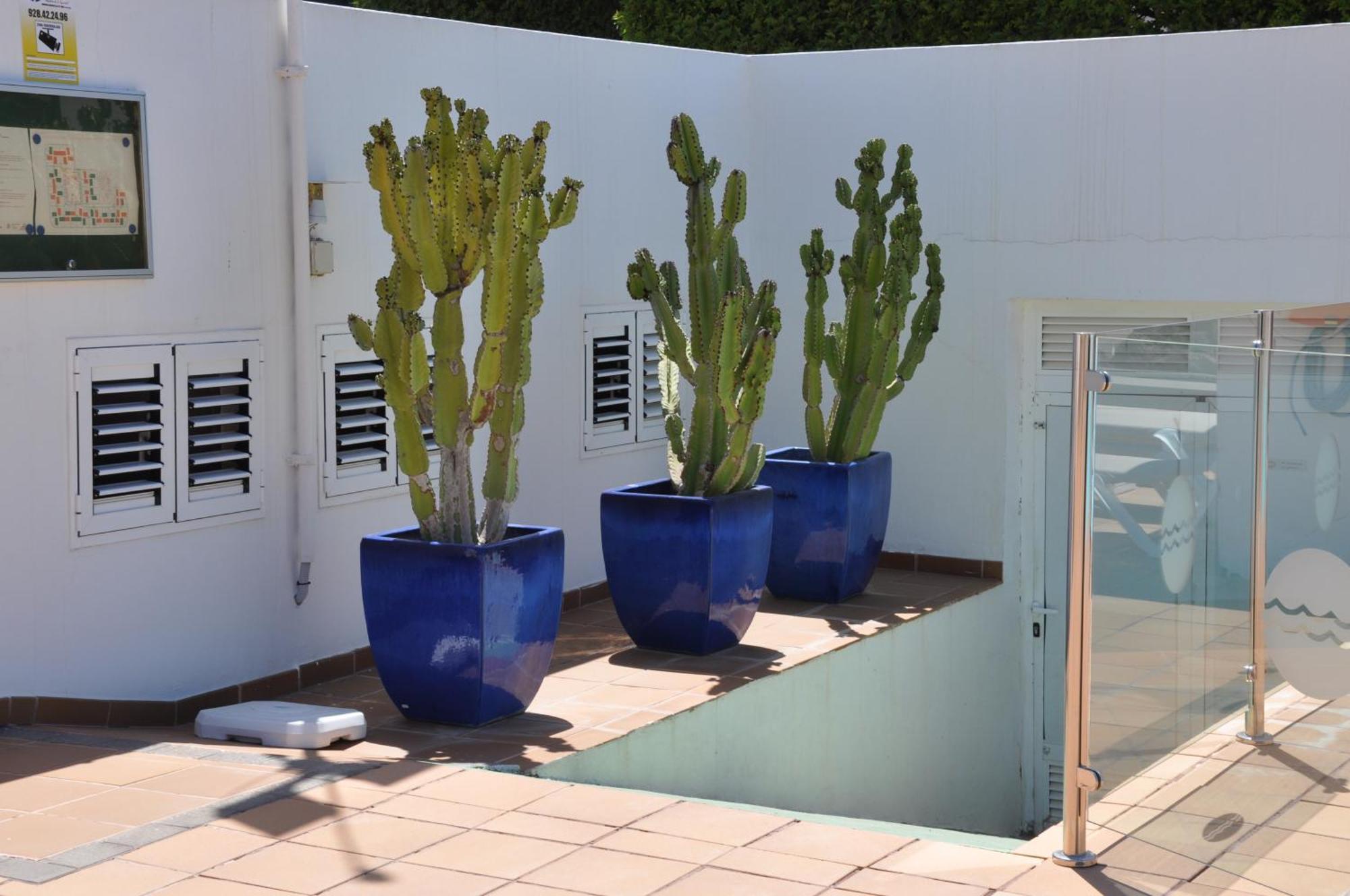 Serenity Garden Maspalomas  Exterior photo