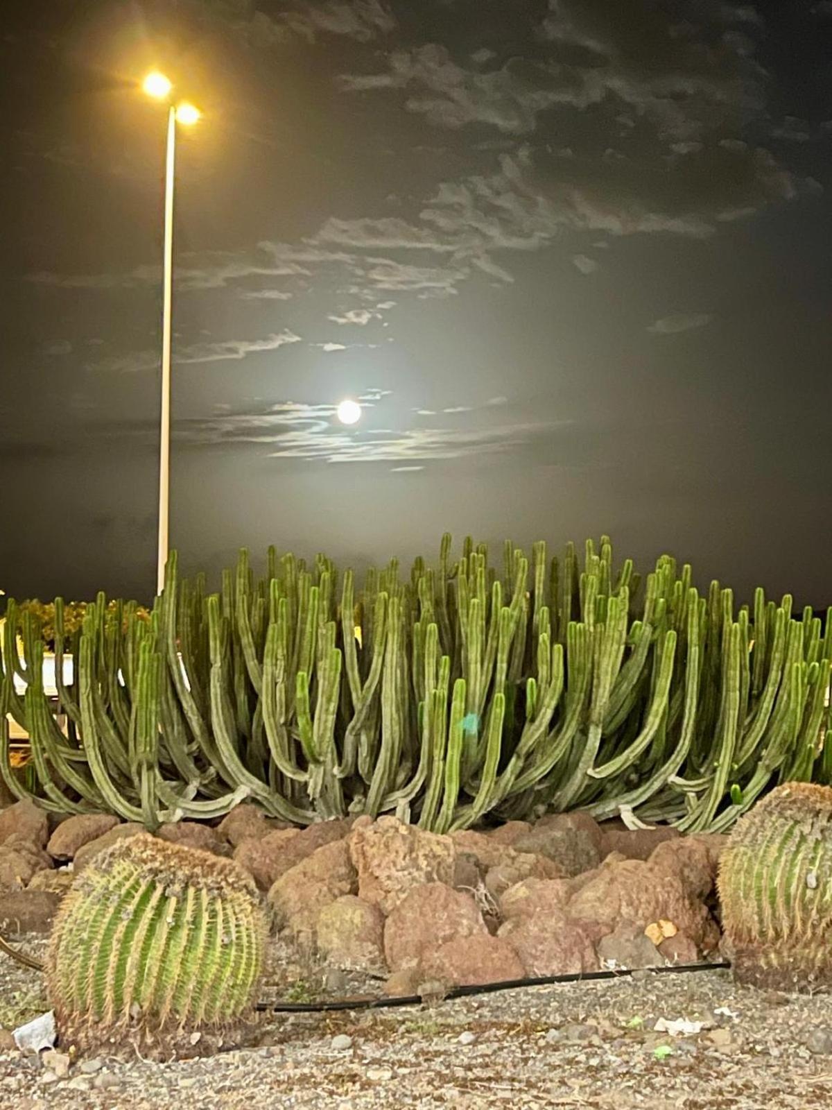 Serenity Garden Maspalomas  Exterior photo